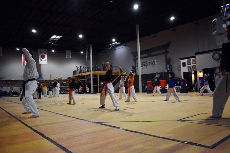 carter-taekwondo-self-defense